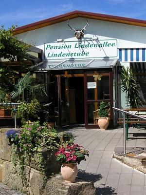 Pension Lindenallee Neuendettelsau Exteriör bild